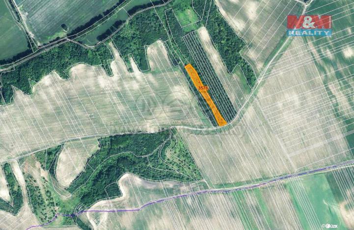 Prodej zemědělské půdy, Čejč, 5686 m2