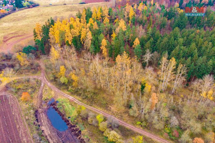 Prodej lesa, Tuchořice, 2921 m2