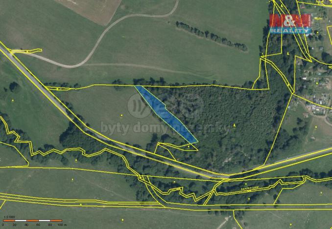 Prodej lesa, Břidličná - Vajglov, 3800 m2