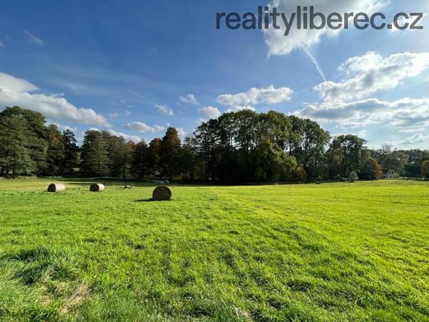 Prodej zemědělské usedlosti, Dolní Řasnice, 480 m2