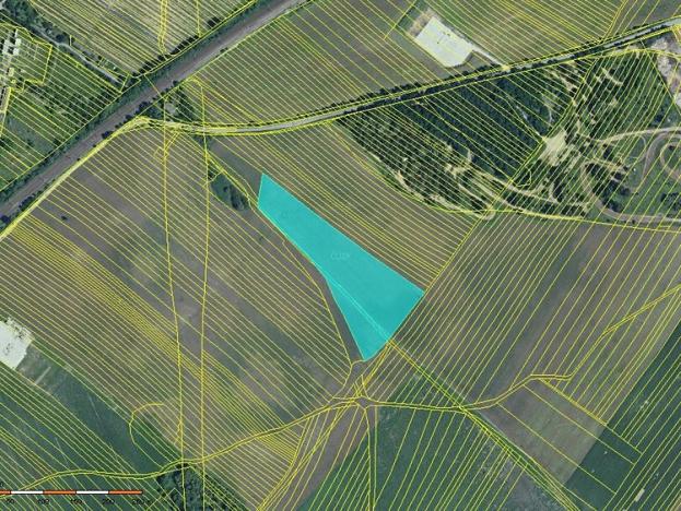 Prodej zemědělské půdy, Břeclav, 8391 m2