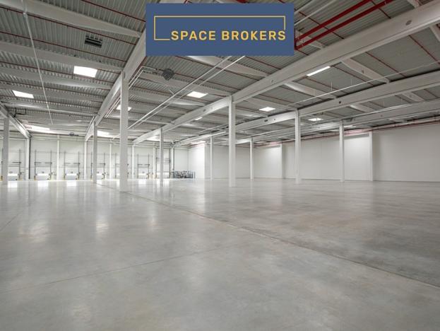 Pronájem skladu, Ostrava, 10210 m2