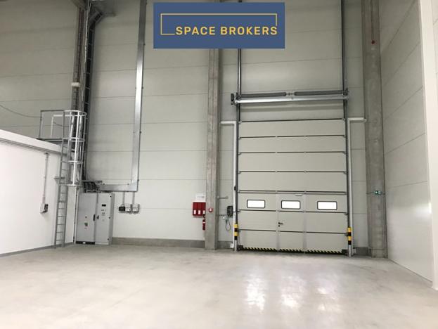 Pronájem skladu, Mošnov, 115509 m2