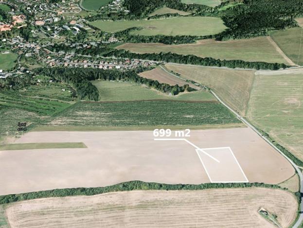 Prodej podílu zemědělské půdy, Plasy, 699 m2