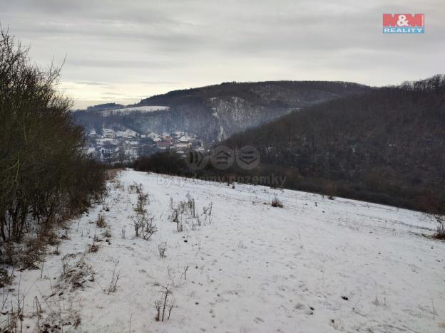 Prodej trvalého travního porostu, Beroun - Beroun-Hostim, 3521 m2