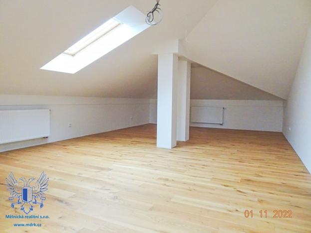 Prodej vily, Mělník, Zemědělská, 400 m2