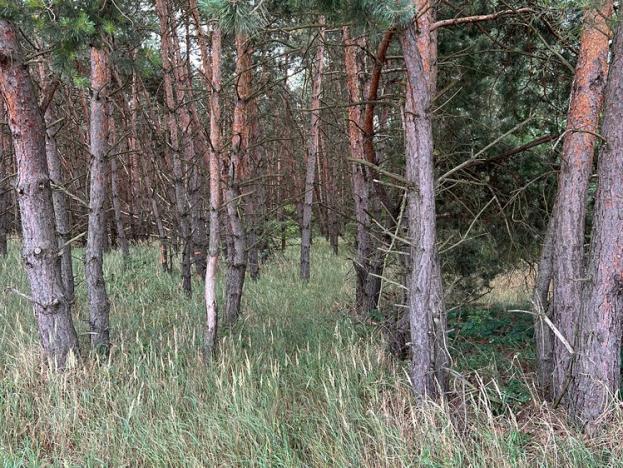 Prodej pozemku, Svatobořice-Mistřín, 1989 m2