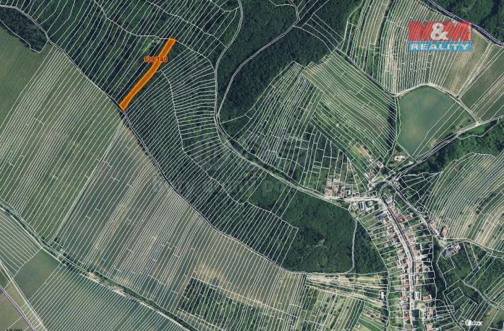 Prodej lesa, Horní Bojanovice, 3219 m2