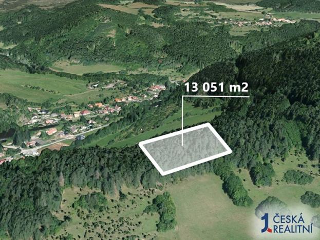 Prodej podílu lesa, Koroužné, 3262 m2