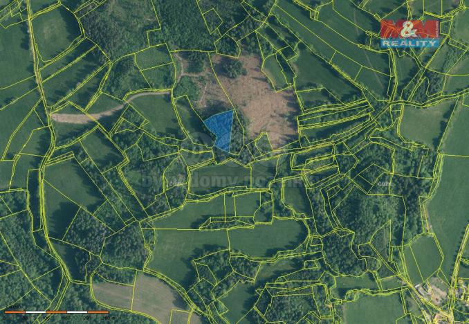 Prodej lesa, Zálezly - Setěchovice, 5083 m2