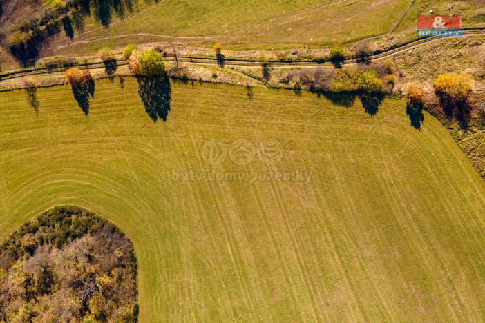 Prodej zemědělské půdy, Kolinec, 6484 m2