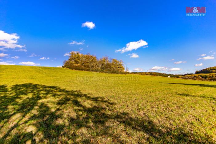 Prodej zemědělské půdy, Kolinec, 6484 m2