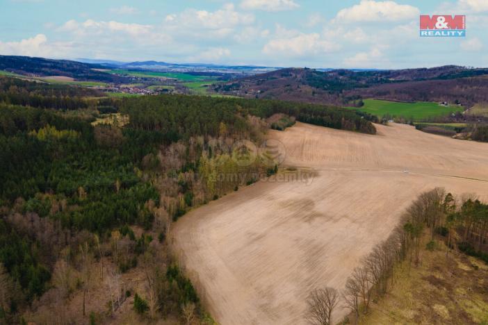 Prodej zemědělské půdy, Předenice, 5839 m2