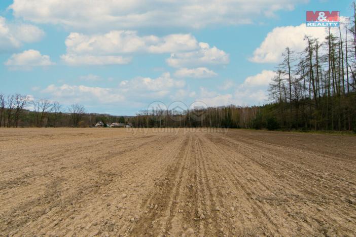 Prodej zemědělské půdy, Předenice, 5839 m2