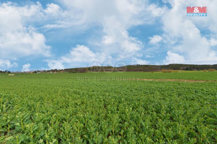 Prodej zemědělské půdy, Čižice, 5653 m2
