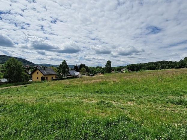 Prodej pozemku pro bydlení, Ludvíkovice, 46815 m2