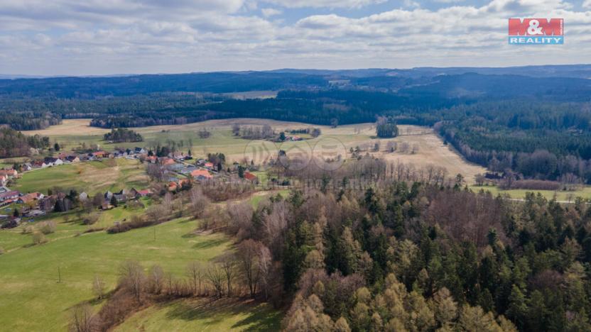 Prodej trvalého travního porostu, Číměř - Nová Ves, 4279 m2