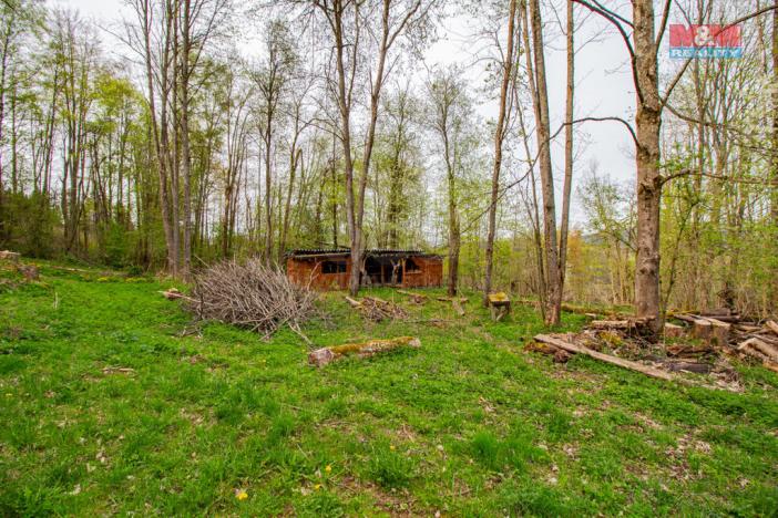 Prodej pozemku pro bydlení, Kašperské Hory - Lídlovy Dvory, 5684 m2