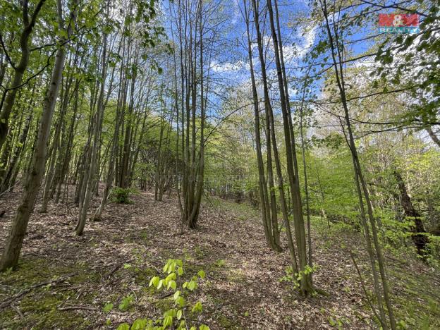 Prodej zahrady, Chrastava - Andělská Hora, 2545 m2