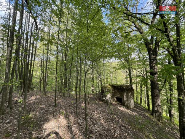 Prodej zahrady, Chrastava - Andělská Hora, 2545 m2