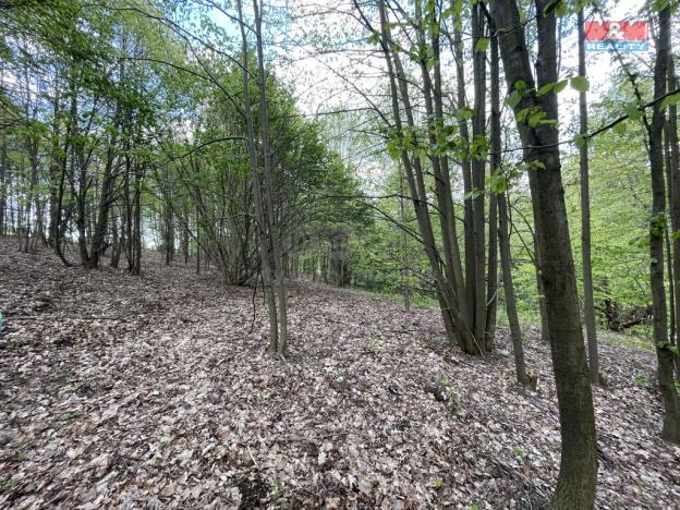 Prodej zahrady, Chrastava - Andělská Hora, 2545 m2