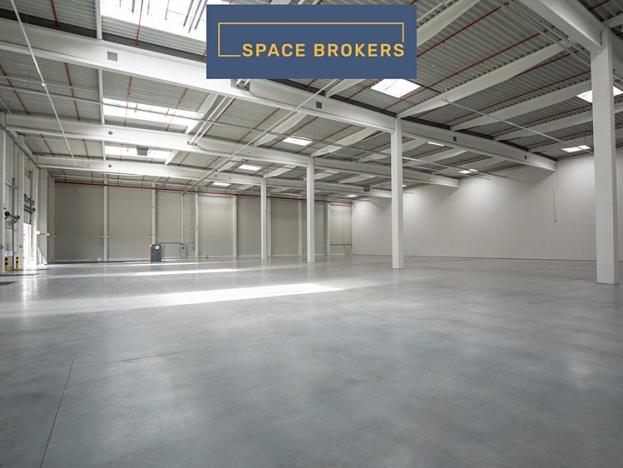 Pronájem skladu, Mikulov, 12000 m2