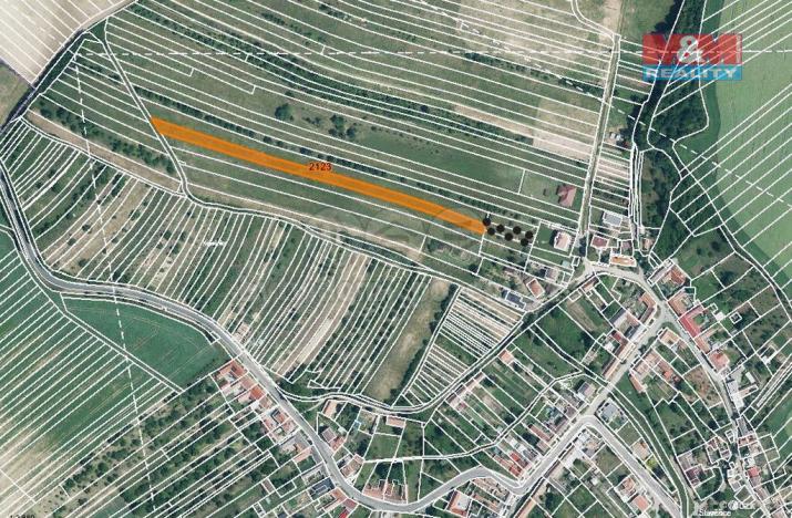 Prodej zemědělské půdy, Stavěšice, 616 m2