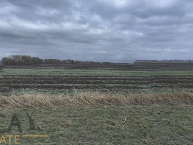 Prodej podílu zemědělské půdy, Prušánky, 840 m2