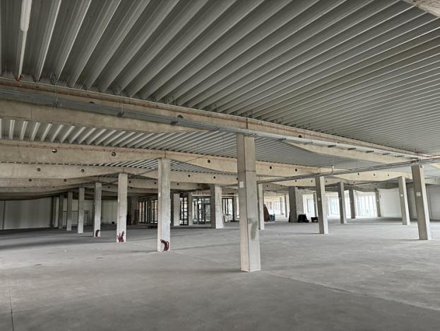 Pronájem obchodního prostoru, Brno, Kaštanová, 1000 m2