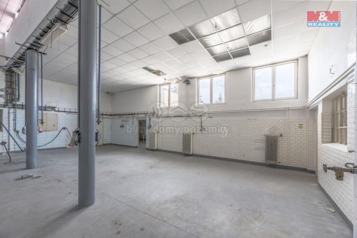 Prodej výrobních prostor, Kostelec nad Labem - Jiřice, K Labi, 1350 m2