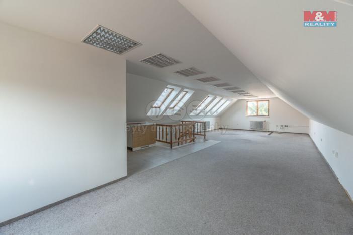 Prodej výrobních prostor, Kostelec nad Labem - Jiřice, K Labi, 1350 m2