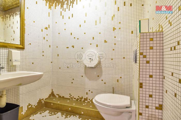 Pronájem restaurace, Ostrava - Hrabůvka, Horní, 250 m2