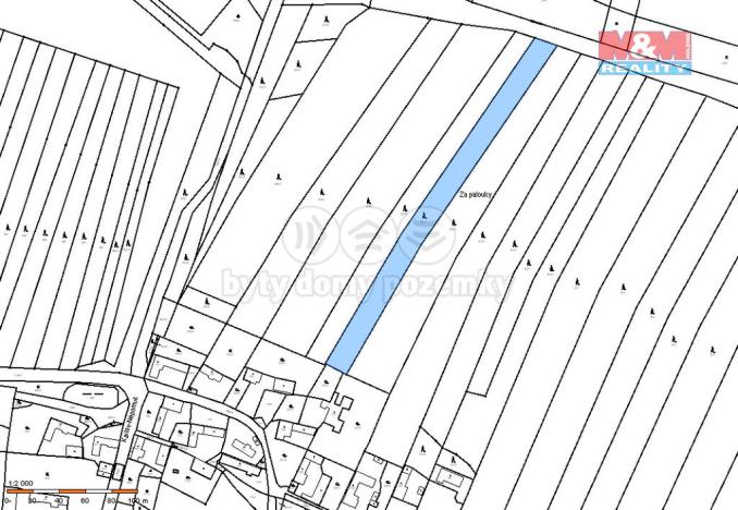 Prodej lesa, Dražíč, 5161 m2