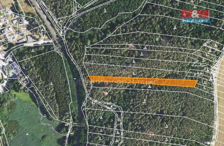 Prodej lesa, Lužná, 3507 m2