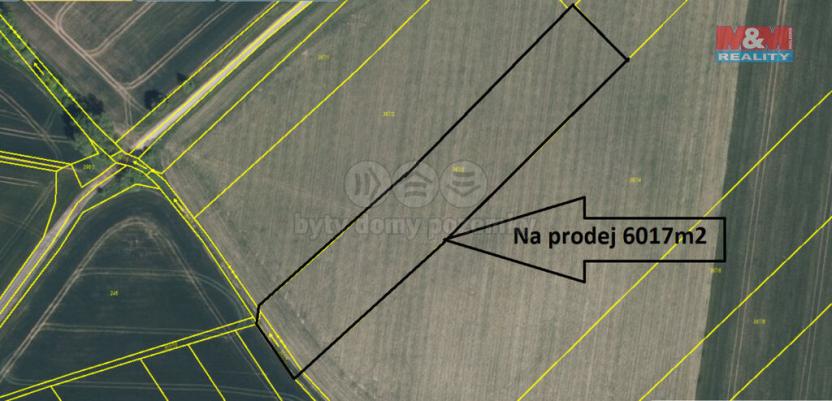 Prodej zemědělské půdy, Provodov-Šonov - Šonov u Nového Města nad Metují, 6017 m2