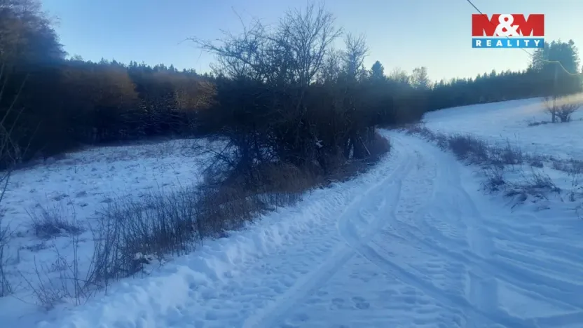 Prodej trvalého travního porostu, Oselce - Kotouň, 19732 m2