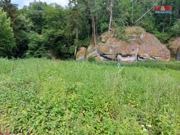 Prodej louky, Vysoká, 1003 m2