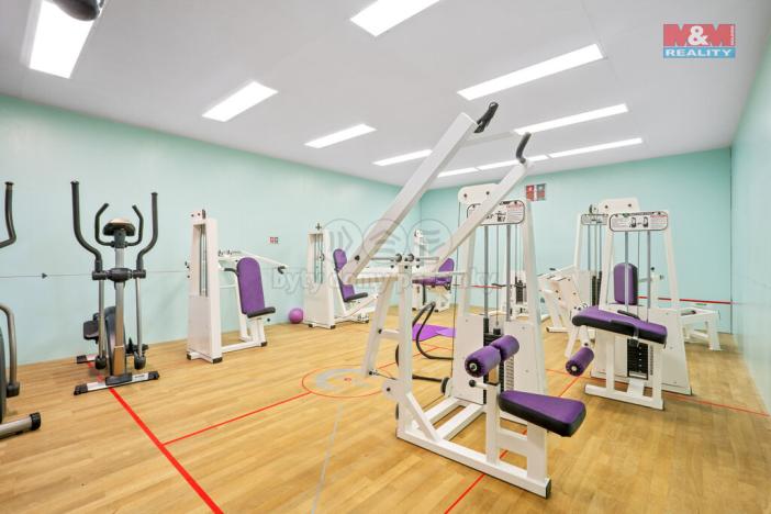 Prodej obchodního prostoru, Ústí nad Labem - Střekov, Truhlářova, 3086 m2