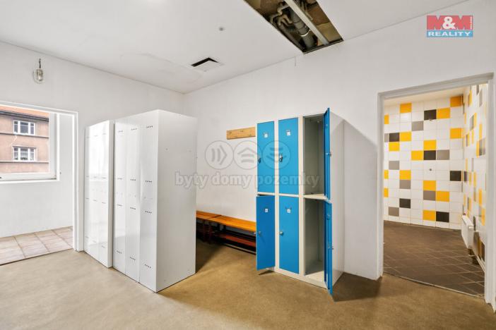 Prodej obchodního prostoru, Ústí nad Labem - Střekov, Truhlářova, 3086 m2