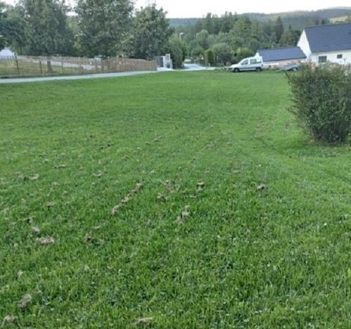 Prodej pozemku pro bydlení, Vacov, 1572 m2