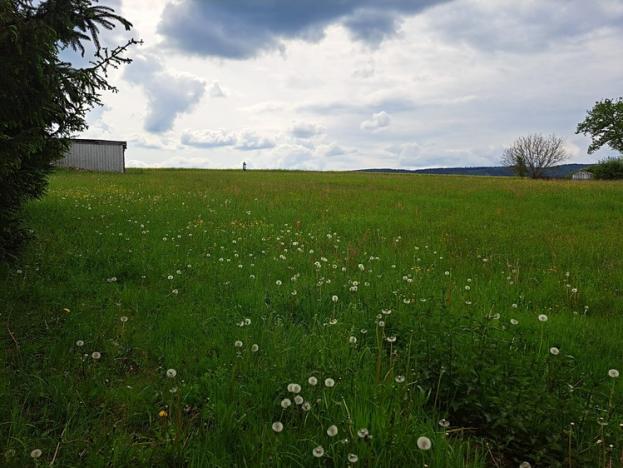 Prodej pozemku pro bydlení, Rudoltice, 3435 m2