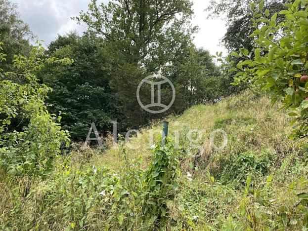 Prodej pozemku pro bydlení, Karlovy Vary, Sokolská, 1151 m2