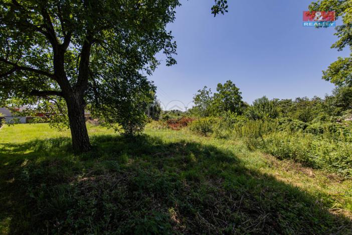 Prodej rodinného domu, Dlouhá Loučka, Úzká, 160 m2