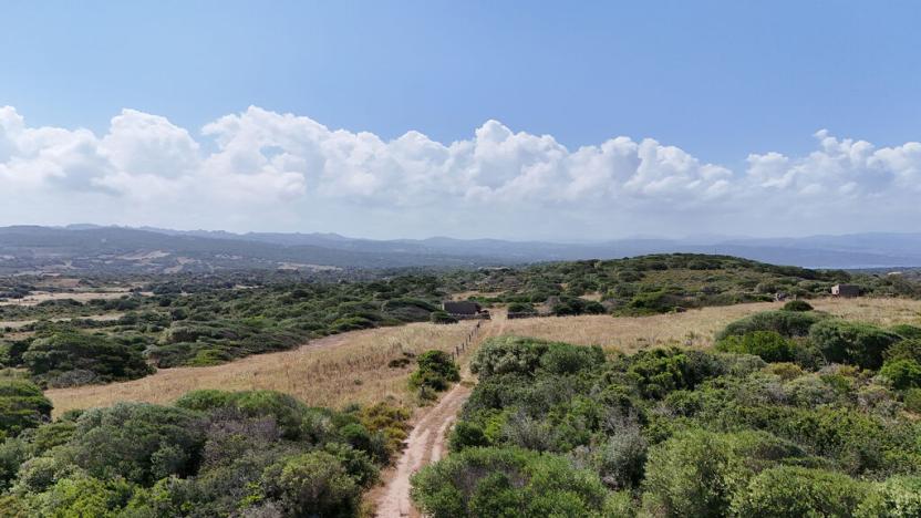 Prodej zemědělské půdy, Santa Teresa Gallura, Sardinie, Itálie, 81812 m2