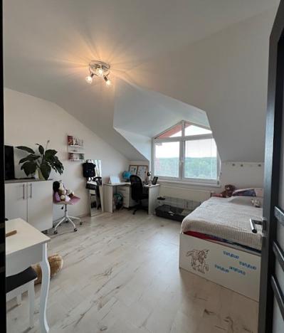 Prodej bytu 4+kk, Chodov, Bezručova, 120 m2