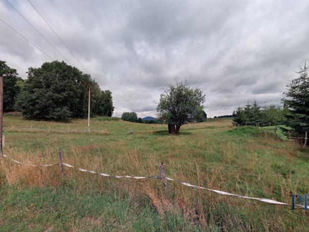 Prodej pozemku pro bydlení, Jablonné v Podještědí, 2521 m2