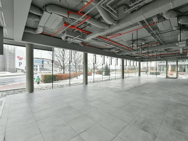 Pronájem kanceláře, Praha - Chodov, V Parku, 1340 m2