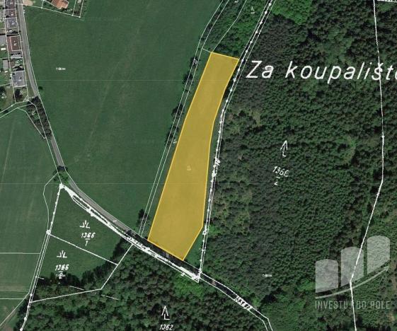 Prodej trvalého travního porostu, Březová, 6281 m2