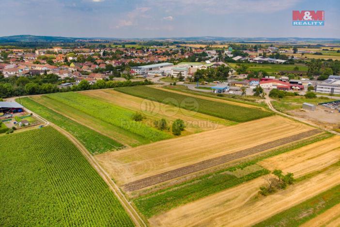 Prodej pole, Podivín, 2005 m2