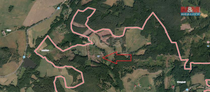 Prodej lesa, Vacovice, 37567 m2